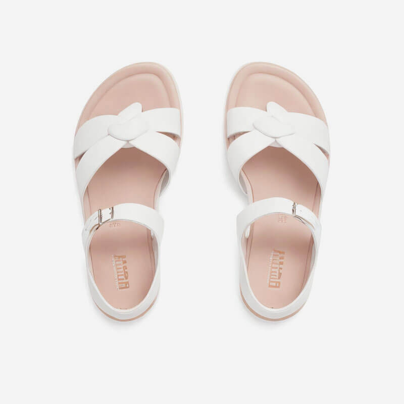 shop3-soft-product-7-2